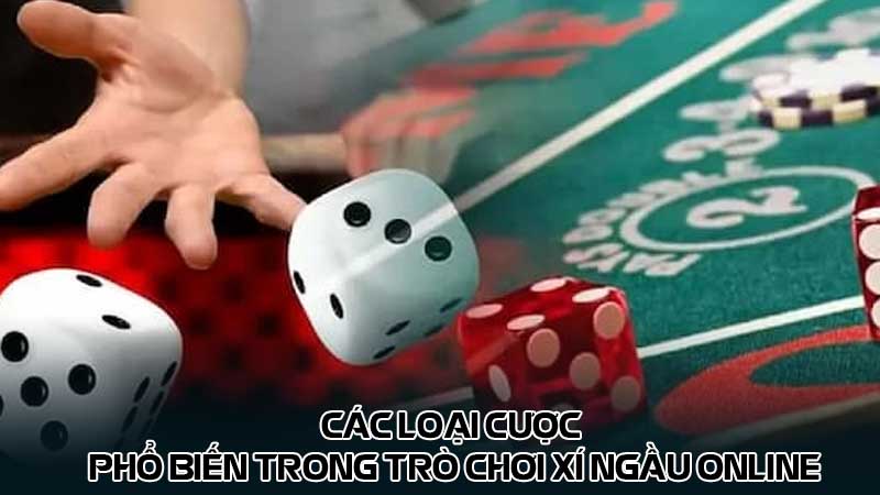 Các loại cược phổ biến trong trò chơi Xí ngầu online